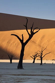 Sossusvlei Gallery: Namibia, Namib Desert, Sossusvlei, Namib-Naukluft