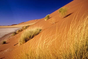 Images Dated 2nd February 2010: Namibia: Namibia Desert, Sossusvlei Dunes