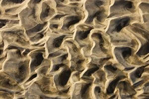 Images Dated 31st March 2008: Namibia - Structural forms in the sand of a dry riverbed. Namib Desert, Skeleton Coast Park, Namibia