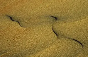 Textures Prints: Namibia - Structural forms in the sand of the Namib Desert. Namib-Naukluft Park, Namibia