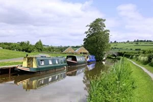 Narrow Boats - Monmouth and Brecon Canal
