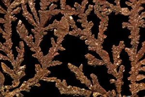 Metals Prints: Native Copper - Bolivia
