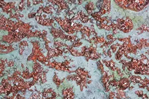 Metals Prints: Native Copper - Lake Superior - Michigan - Picked up by glaciers from native copper veins
