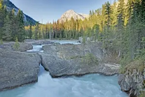 Natural Bridge on Kicking Horse River with Mount Steven - Yoyo National Park Alberta, Canada LA004167