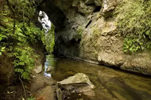 Arches Prints: Natural Bridge natural limestone arch and brook at Mangapohoe Natural Bridge Waitomo