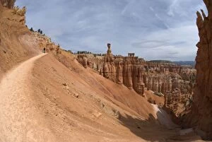 Images Dated 20th April 2007: Navajo Trail, Bryce Canyon