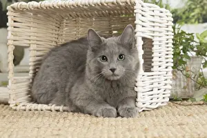 NEBELUNG