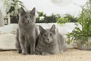 NEBELUNG
