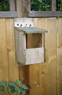 Nest Boxes Prints: Nest Box - open front