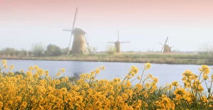 Netherlands, Kinderdijk. Windmills next