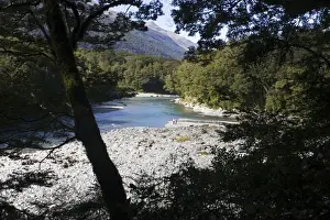Wooded Prints: New Zealand - Blue Pools on Haast River at Blue Pools Gates of Haast - South Island