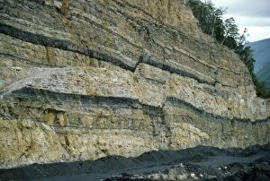 Images Dated 19th August 2011: New Zealand - coal bearing strata in quartz sandstone