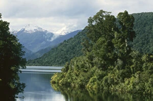 New Zealand, Lake Moeraki area, west coast