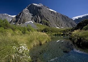 New Zealand - Mountain and river with shrubs in foreground. Lake in Gertrude valley