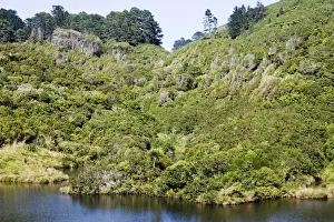 Sanctuary Prints: New Zealand - Native bush and reservoir Karori Wildlife Sanctuary - North Island