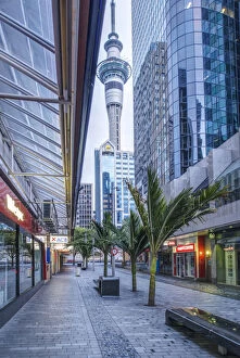 Alley Gallery: New Zealand, North Island, Auckland, Sky