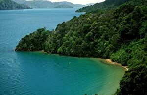 New Zealand - Queen Charlotte Sound Marlborough Sounds