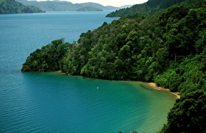 Images Dated 21st September 2007: New Zealand - Queen Charlotte Sound Marlborough Sounds LAN03808