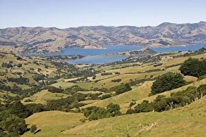 New Zealand - Scenic of Akaroa harbour surrounded by volcanic hills