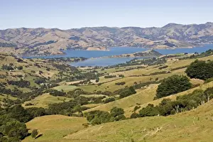 Harbour Prints: New Zealand - Scenic of Akaroa harbour surrounded by volcanic hills- Banks Peninsula