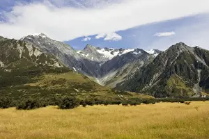 Cook Prints: New Zealand - snow covered mountains in Aoraki Mount Cook National Park now designated a World Heritage Site South