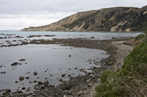 Images Dated 4th July 2007: New Zealand - South Island - Haumuri Bluff - South of Kaikoura This exposure of Late Cretaceous