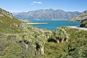 New Zealand, South Island, Otago, Lake Wanaka