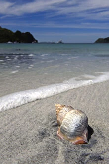 Images Dated 13th July 2011: New Zealand, Southland, Stewart Island