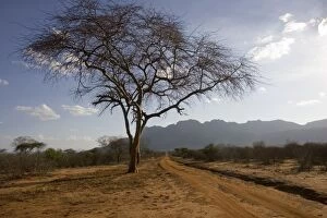 Ngulia escarpment in Tsavo West National Park