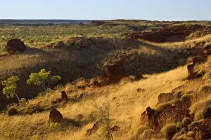 Ngumban Cliffs - view towards the terraced red cliffs from Ngumban Cliffs Lookout at late evening. The grass covered hills are illuminated by the backlighting sun - Ngumban Cliffs, Kimberley, Western Australia, Australia