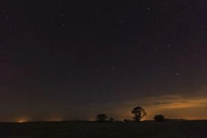 Images Dated 14th April 2013: Night Sky - with stars and tree silhouettes beside