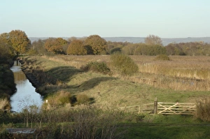 Images Dated 23rd November 2007: NNR Ham Wall - Westhay - Somerset