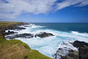 Images Dated 3rd December 2008: The Nobbies - view along Phillip Island's rugged and churning south coast seen from The Nobbies