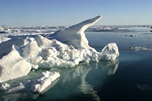 Images Dated 27th August 2003: Nord Svalbard - Spitzberg - Pack Ice