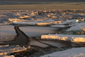 Images Dated 27th August 2003: Nord Svalbard - Spitzberg - Pack Ice