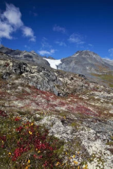 North America. USA. Alaska. Autumn Color