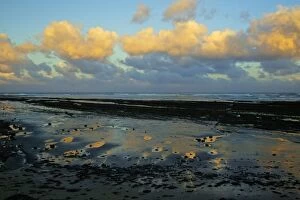 Images Dated 1st November 2006: North Sea - seashore landscape at sunset in autumn. Northumberland, UK