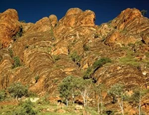 Images Dated 16th January 2009: Northern Bungle Bungle Range near Froghole Gorge dissected sandstone