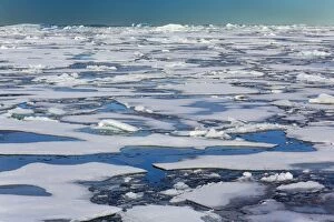 Images Dated 23rd August 2013: Northwest Passage melting and breaking sea