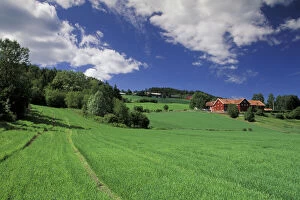 Norway, Grudbrandsdal. Farm fields and buildings