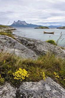 Norway. Rock slab with Sedum sp. and traditional
