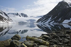 Dead Gallery: Norway, Spitsbergen, Sallyhammna. Vertebrae