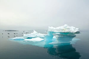 Images Dated 15th May 2013: Norway, Svalbard Archipelago, Spitsbergen