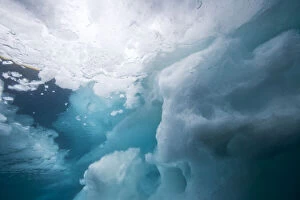 Angle Gallery: Norway, Svalbard, Nordaustlandet, Underwater