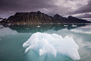 Stormy Gallery: Norway, Svalbard, Spitsbergen, Iceberg floating