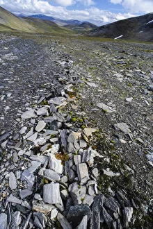 Norway, Troms. Stone stripes a permafrost