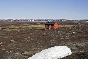 Images Dated 30th May 2007: Norway - tundra landscape at edge of Varanger Fjord - North Norway