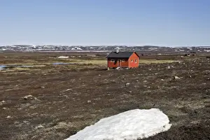 Fjords Prints: Norway - tundra landscape at edge of Varanger Fjord - North Norway