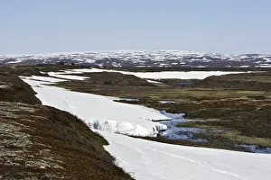 Norway - tundra landscape at edge of Varanger Fjord - North Norway