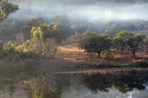 Images Dated 7th November 2009: Nyanga Forest and pool - Zimbabwe